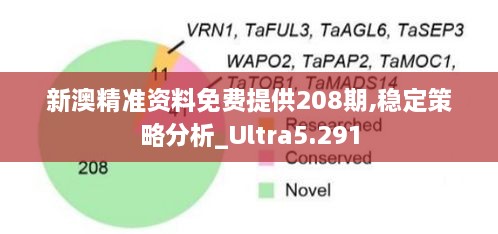 新澳精準資料免費提供208期,穩定策略分析_Ultra5.291