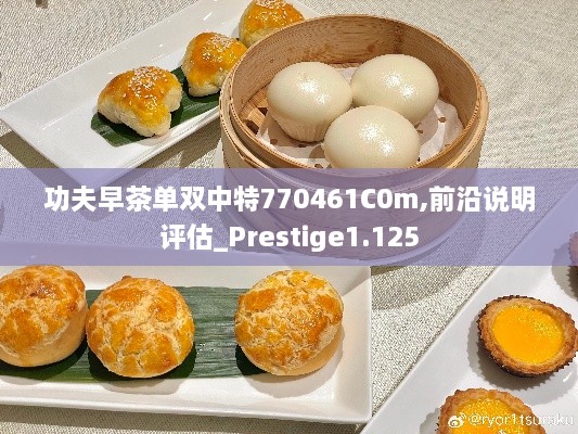 功夫早茶單雙中特770461C0m,前沿說(shuō)明評估_Prestige1.125