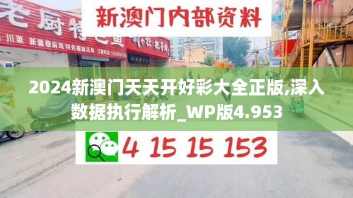 2024新澳門(mén)天天開(kāi)好彩大全正版,深入數據執行解析_WP版4.953