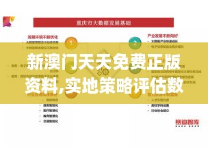新澳門(mén)天天免費正版資料,實(shí)地策略評估數據_7DM1.701