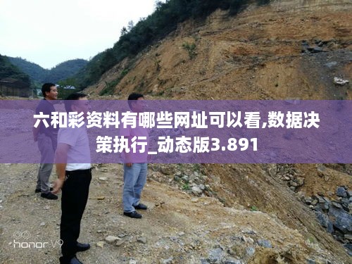 六和彩資料有哪些網(wǎng)址可以看,數據決策執行_動(dòng)態(tài)版3.891