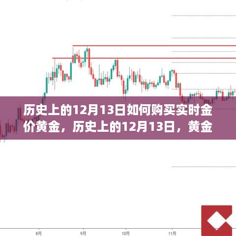 歷史上的黃金購買(mǎi)策略，揭秘黃金實(shí)時(shí)金價(jià)購買(mǎi)策略與考量，聚焦黃金市場(chǎng)風(fēng)云變幻的十二月十三日