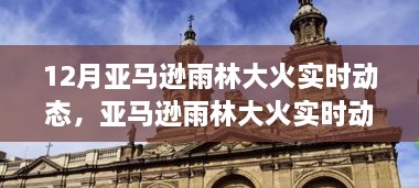 亞馬遜雨林大火實(shí)時(shí)動(dòng)態(tài)，背景、事件、影響與時(shí)代地位