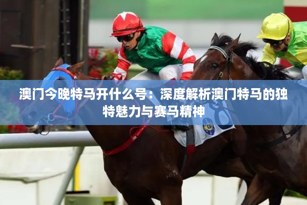 澳門(mén)今晚特馬開(kāi)什么號：深度解析澳門(mén)特馬的獨特魅力與賽馬精神