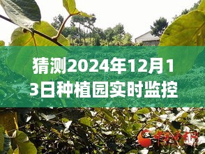 探索未來(lái)種植園的靜謐時(shí)光，綠意盎然的種植園實(shí)時(shí)監控視頻猜想（2024年）