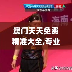 澳門(mén)天天免費精準大全,專(zhuān)業(yè)分析解釋定義_模擬版10.245