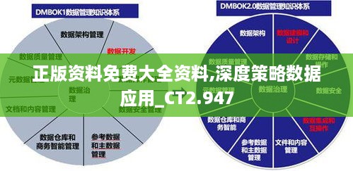 正版資料免費大全資料,深度策略數據應用_CT2.947
