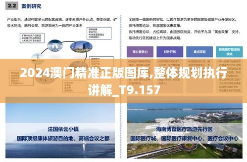 2024澳門(mén)精準正版圖庫,整體規劃執行講解_T9.157