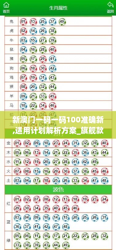 新澳門(mén)一碼一碼100準確新,適用計劃解析方案_旗艦款2.346