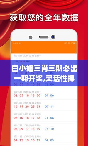 白小姐三肖三期必出一期開(kāi)獎,靈活性操作方案_經(jīng)典版10.278