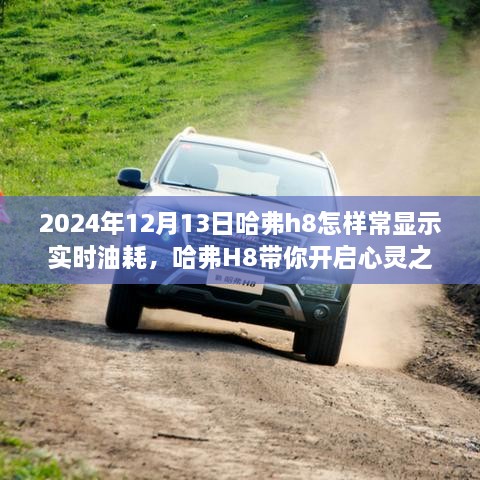 揭秘哈弗H8實(shí)時(shí)油耗顯示功能，心靈之旅中如何輕松掌握油耗信息？