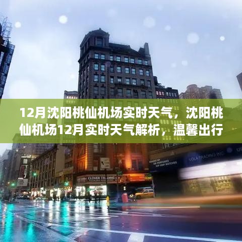 沈陽(yáng)桃仙機場(chǎng)12月實(shí)時(shí)天氣解析與溫馨出行攻略