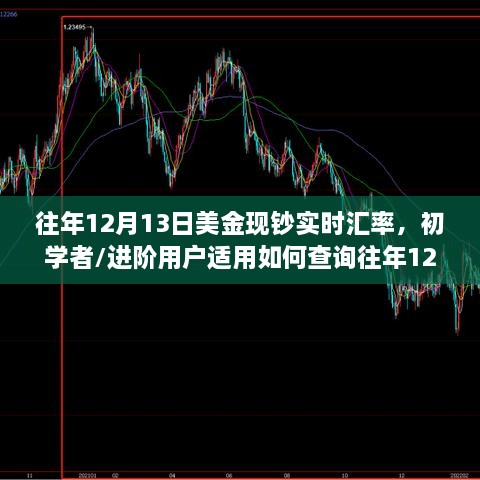 往年12月13日美金現鈔實(shí)時(shí)匯率詳解，查詢(xún)步驟指南及適用于初學(xué)者與進(jìn)階用戶(hù)的方法