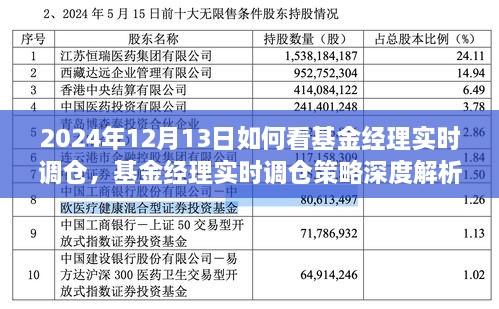 基金經(jīng)理實(shí)時(shí)調倉深度解析，洞悉策略與投資機會(huì )（2024年12月13日投資洞察）