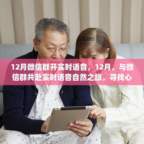 微信群實(shí)時(shí)語(yǔ)音之旅，尋找心靈港灣的寧靜十二月之旅