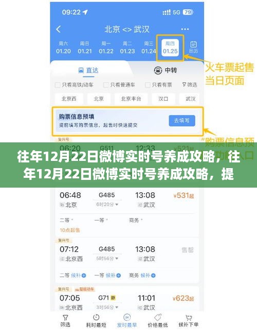 往年12月22日微博實(shí)時(shí)號養成攻略，提升影響力的關(guān)鍵步驟詳解