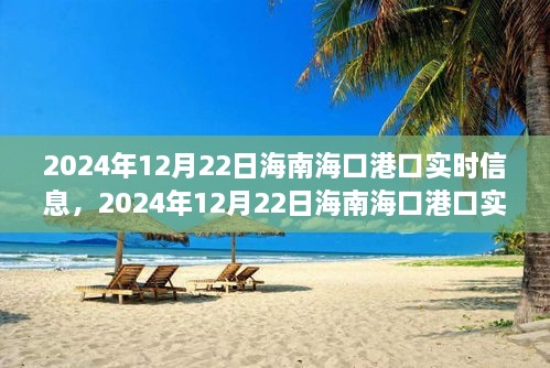 2024年12月22日海南?？诟劭趯?shí)時(shí)信息全解析，小紅書(shū)帶你掌握最新動(dòng)態(tài)