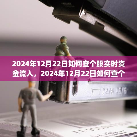 多維度解析與觀(guān)點(diǎn)探討，如何查詢(xún)個(gè)股實(shí)時(shí)資金流入——以2024年12月22日為例