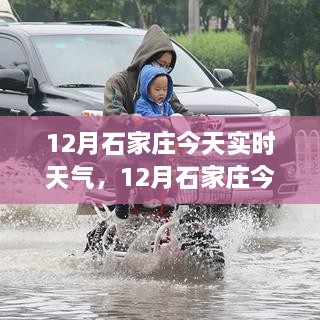 石家莊今日深度解析與體驗分享，實(shí)時(shí)天氣報告（12月版）