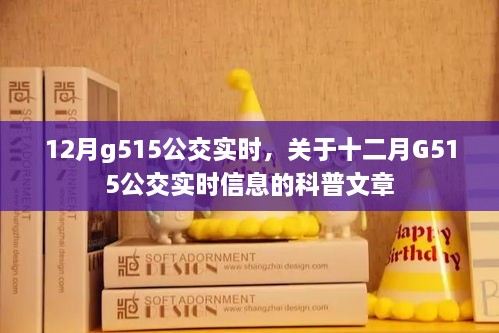 十二月G515公交實(shí)時(shí)信息詳解，實(shí)時(shí)查詢(xún)與運行動(dòng)態(tài)科普文章