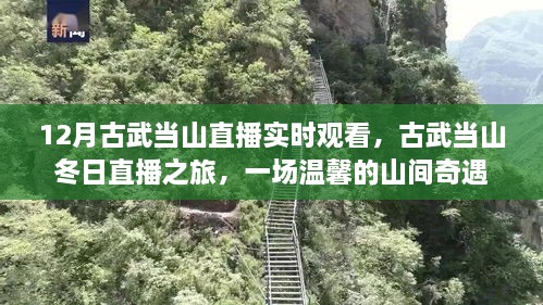 古武當山冬日直播之旅，探尋山間奇遇的溫馨之旅