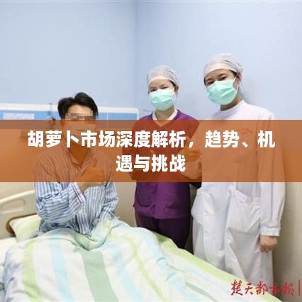 胡蘿卜市場(chǎng)深度解析，趨勢、機遇與挑戰
