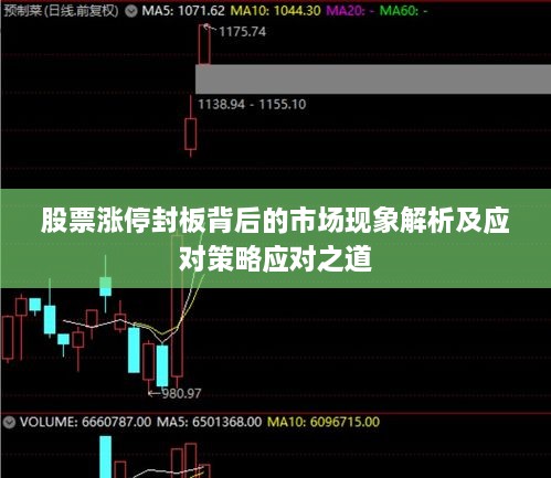 股票漲停封板背后的市場(chǎng)現象解析及應對策略應對之道