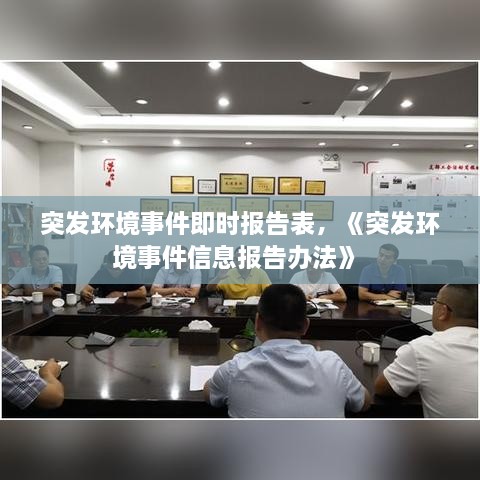 突發(fā)環(huán)境事件即時(shí)報告表，《突發(fā)環(huán)境事件信息報告辦法》 