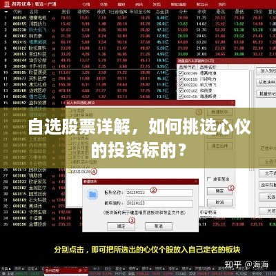 自選股票詳解，如何挑選心儀的投資標的？