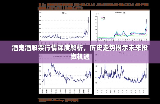 酒鬼酒股票行情深度解析，歷史走勢揭示未來(lái)投資機遇