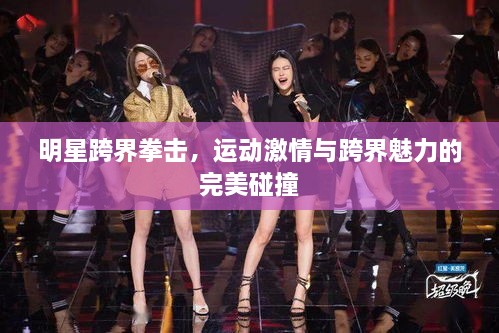 明星跨界拳擊，運動(dòng)激情與跨界魅力的完美碰撞