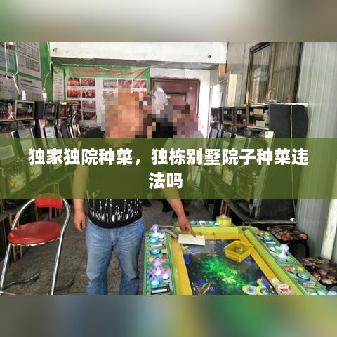 獨家獨院種菜，獨棟別墅院子種菜違法嗎 
