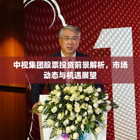 中視集團股票投資前景解析，市場(chǎng)動(dòng)態(tài)與機遇展望