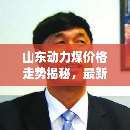 山東動(dòng)力煤價(jià)格走勢揭秘，最新行情分析報告