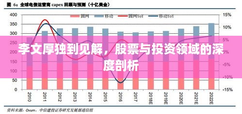 李文厚獨到見(jiàn)解，股票與投資領(lǐng)域的深度剖析