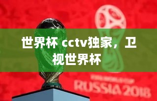 世界杯 cctv獨家，衛視世界杯 