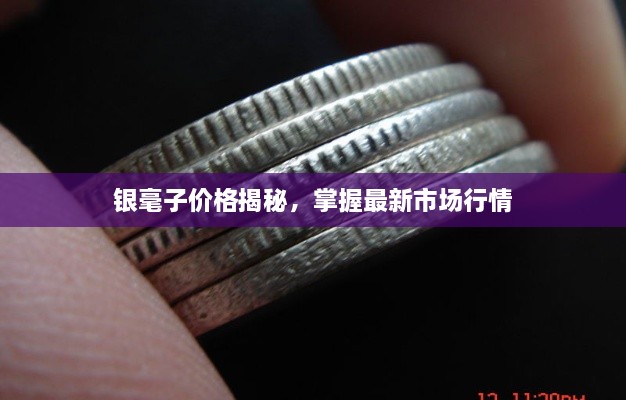 銀毫子價(jià)格揭秘，掌握最新市場(chǎng)行情