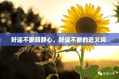 好運不斷段靜心，好運不斷的近義詞 