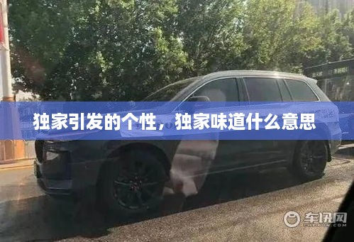 獨家引發(fā)的個(gè)性，獨家味道什么意思 