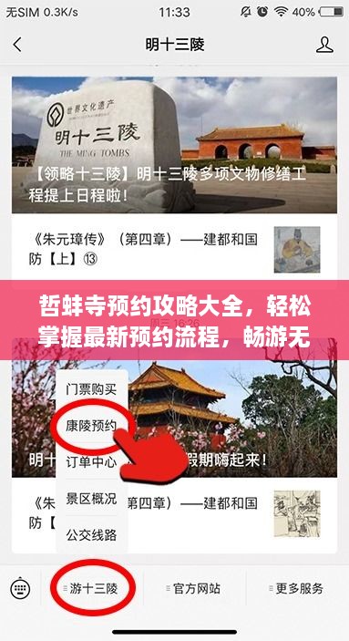 哲蚌寺預約攻略大全，輕松掌握最新預約流程，暢游無(wú)阻！