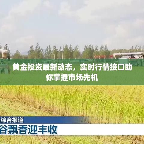 黃金投資最新動(dòng)態(tài)，實(shí)時(shí)行情接口助你掌握市場(chǎng)先機