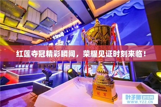 紅蓮奪冠精彩瞬間，榮耀見(jiàn)證時(shí)刻來(lái)臨！