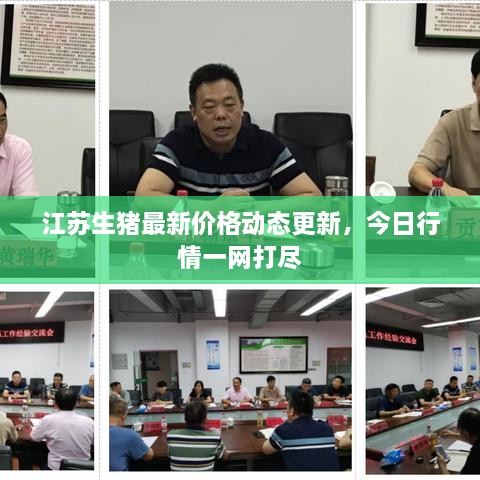 江蘇生豬最新價(jià)格動(dòng)態(tài)更新，今日行情一網(wǎng)打盡