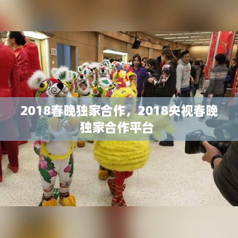 2018春晚獨家合作，2018央視春晚獨家合作平臺 