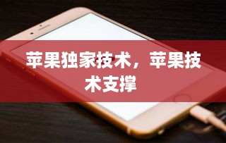蘋(píng)果獨家技術(shù)，蘋(píng)果技術(shù)支撐 