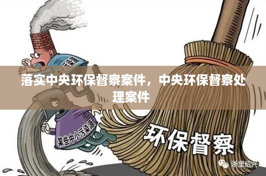落實(shí)中央環(huán)保督察案件，中央環(huán)保督察處理案件 