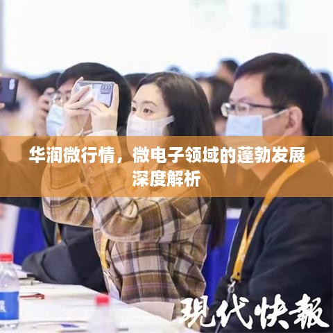 華潤微行情，微電子領(lǐng)域的蓬勃發(fā)展深度解析