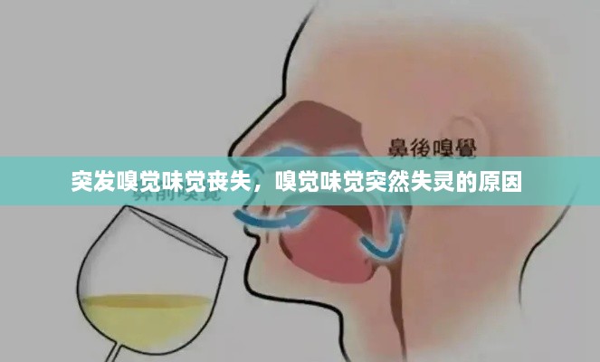 突發(fā)嗅覺(jué)味覺(jué)喪失，嗅覺(jué)味覺(jué)突然失靈的原因 