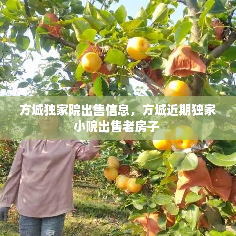 方城獨家院出售信息，方城近期獨家小院出售老房子 