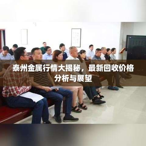 泰州金屬行情大揭秘，最新回收價(jià)格分析與展望